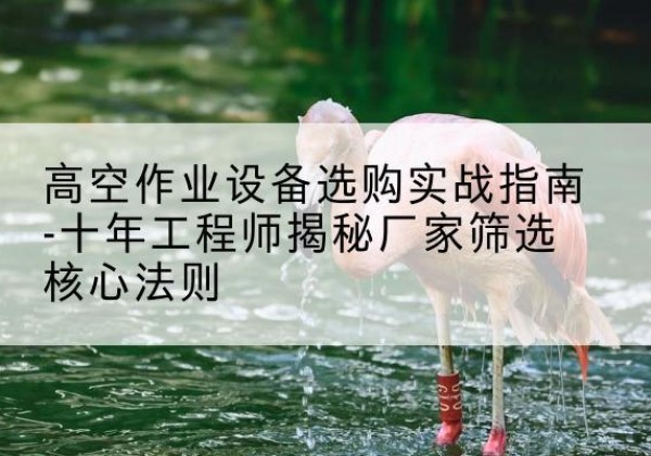 南山剪叉式升降机厂家-高空作业设备选购实战指南-十年工程师揭秘厂家筛选核心法则